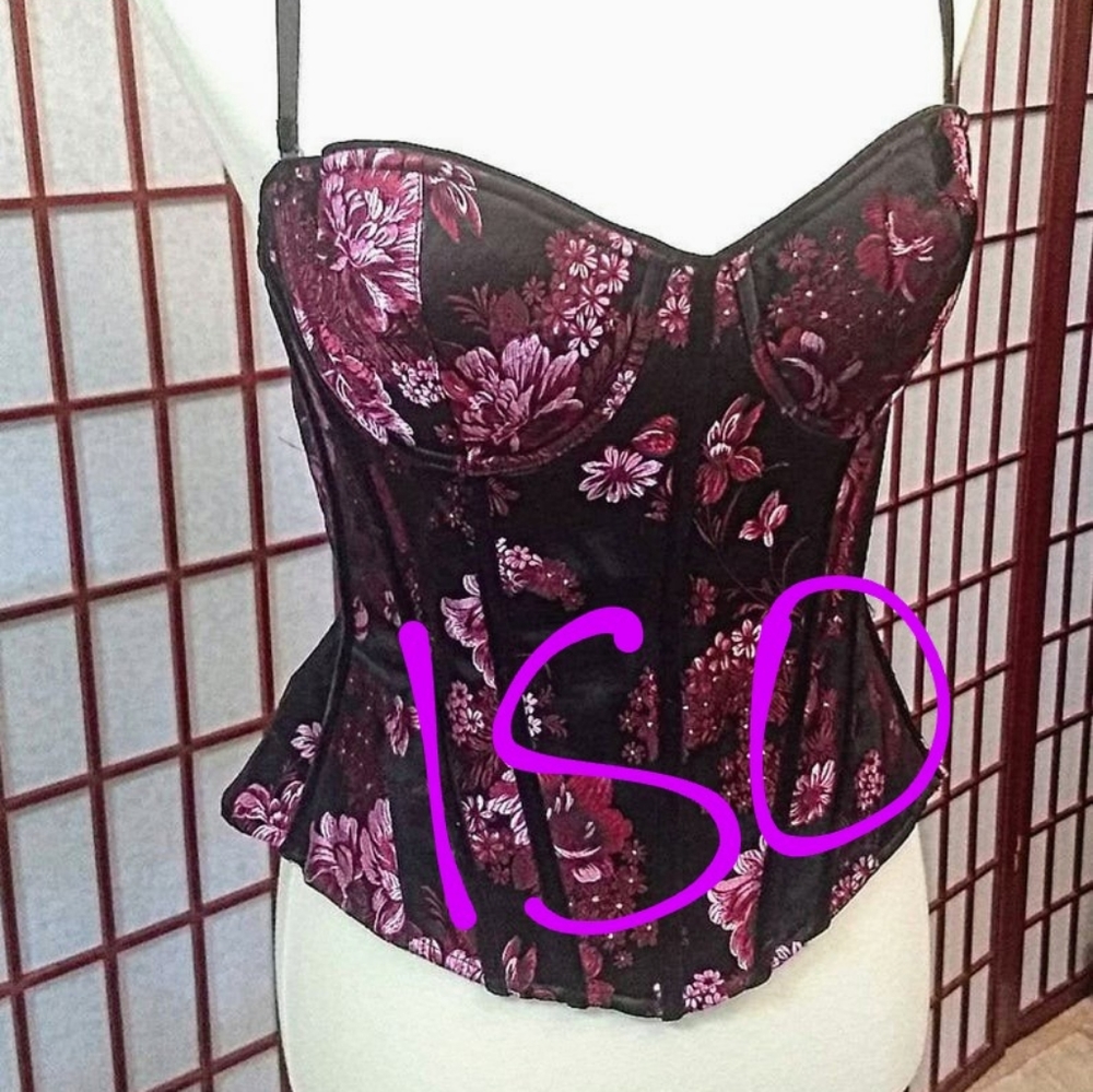 ISO this Victoria's Secret corset small